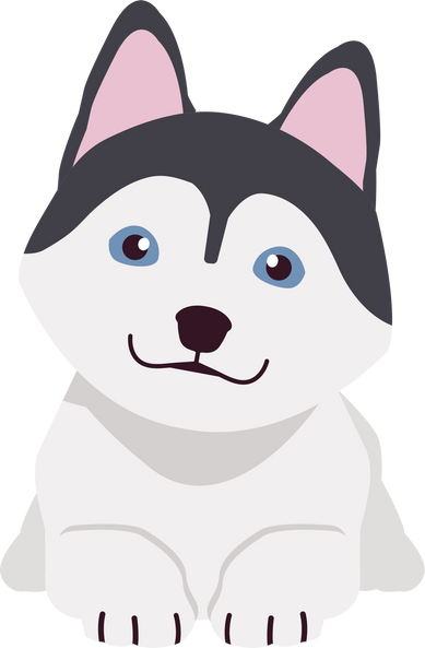 Cute Siberian Husky Puppy